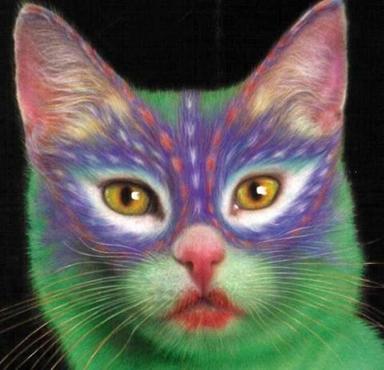 Kucing Taman Lawang..!!