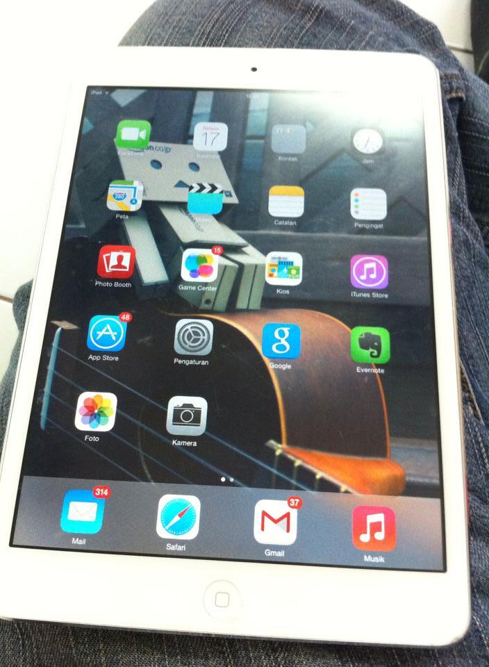 Ipad Mini 16GB Wifi + Cellular Second