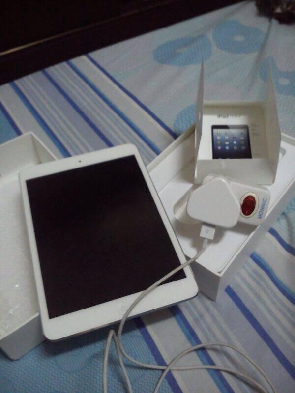 Ipad Mini 16GB Wifi + Cellular Second