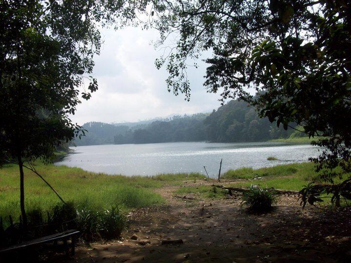 Berlibur ke Perkebunan Teh Kaligua di Kota Bumiayu