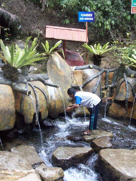 Berlibur ke Perkebunan Teh Kaligua di Kota Bumiayu