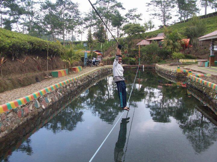 Berlibur ke Perkebunan Teh Kaligua di Kota Bumiayu