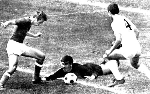 Mengapa Warna Bola Pada Umumnya Hitam dan Putih?