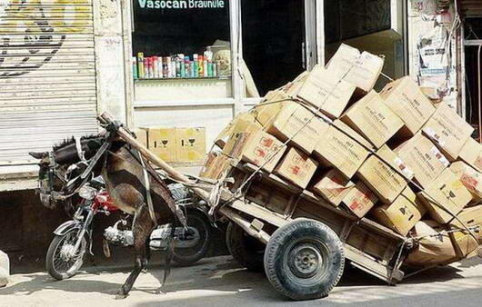 Inovasi Transportasi yang Melebihi Batas