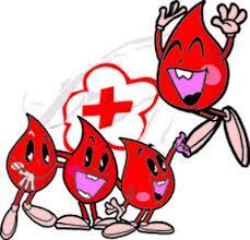 Cross Match Golongan Darah Sebelum Transfusi dan 16 Mitos Donor darah