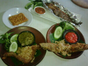 balconindonesia(bebekayamlele)