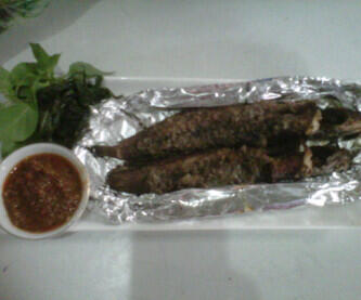 balconindonesia(bebekayamlele)