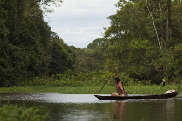 Mencari Arapaima ( ikan air tawar terbesar di dunia )