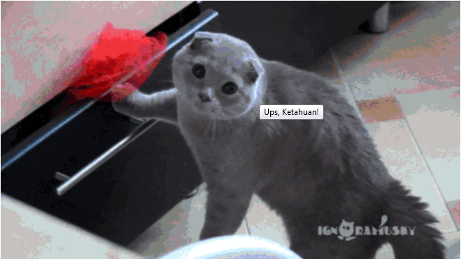&#91;PICT&#93; 10 Tingkah Laku Kucing Paling Konyol Dan Bikin Gemas