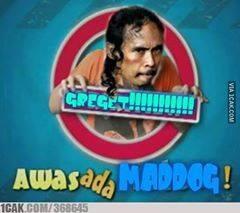 MADOG koplak's