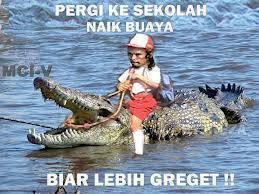 MADOG koplak's