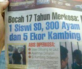 MADOG koplak's