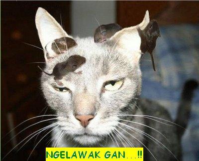 INI EKSPRESIKU MANA EKSPRESIMU
