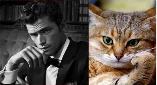POSE PARA KUCING INI NGGA KALAH SAMA MODEL