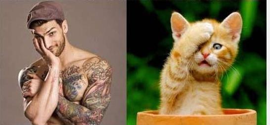POSE PARA KUCING INI NGGA KALAH SAMA MODEL