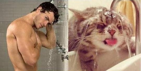 POSE PARA KUCING INI NGGA KALAH SAMA MODEL