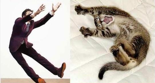 POSE PARA KUCING INI NGGA KALAH SAMA MODEL
