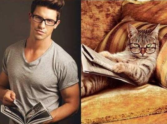POSE PARA KUCING INI NGGA KALAH SAMA MODEL