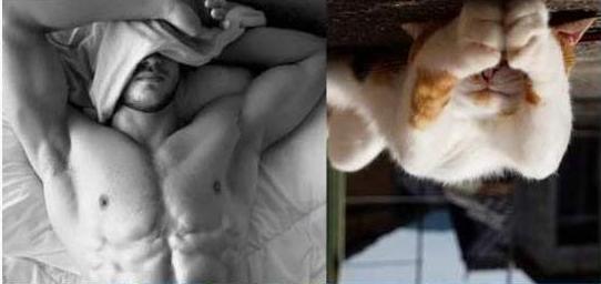 POSE PARA KUCING INI NGGA KALAH SAMA MODEL