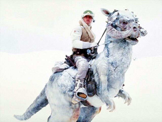 Hewan-Hewan Unik di Film Star Wars
