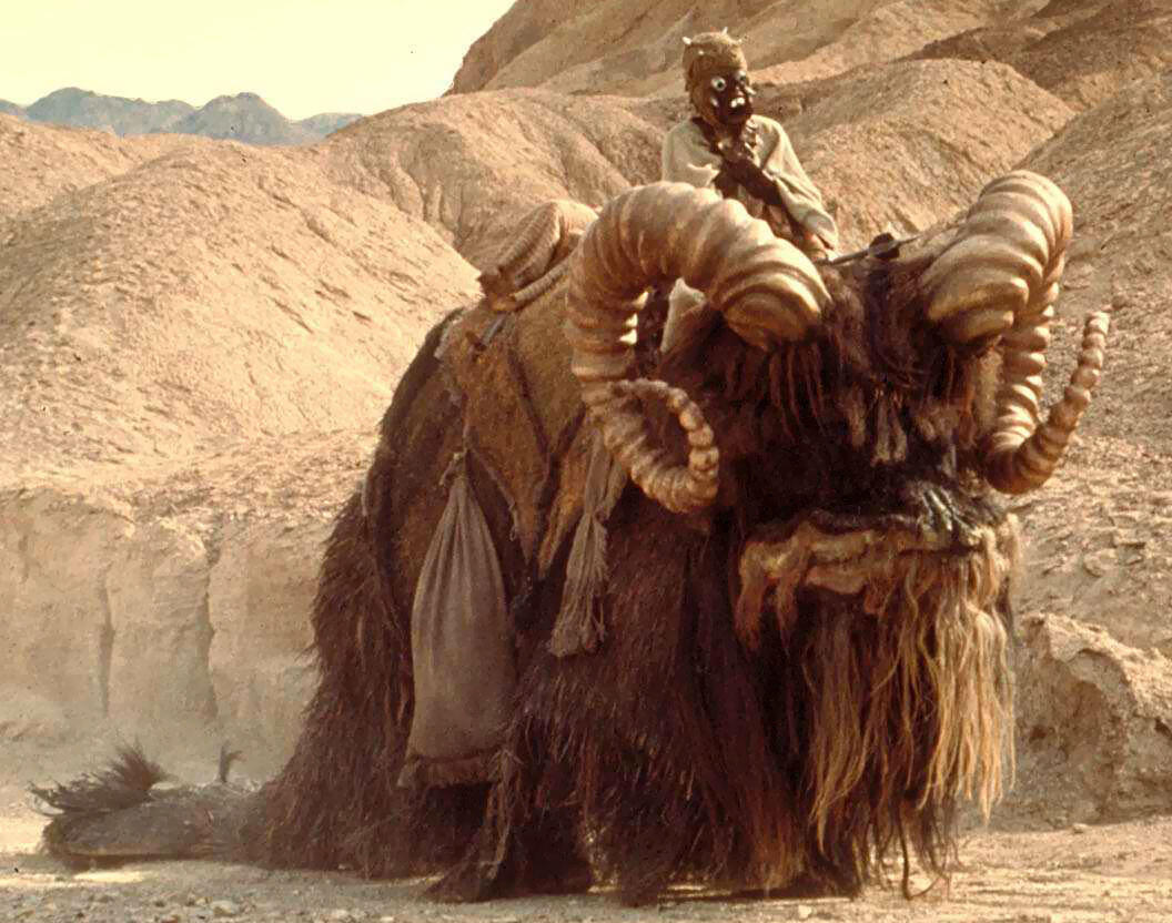 Hewan-Hewan Unik di Film Star Wars