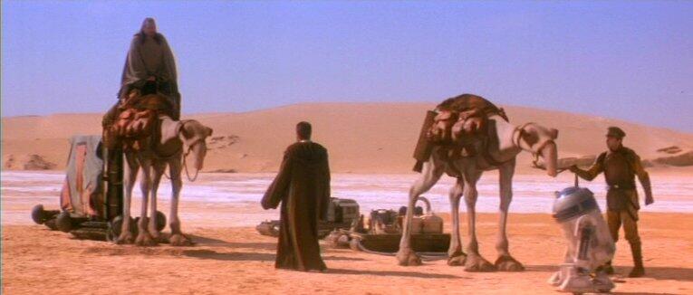 Hewan-Hewan Unik di Film Star Wars