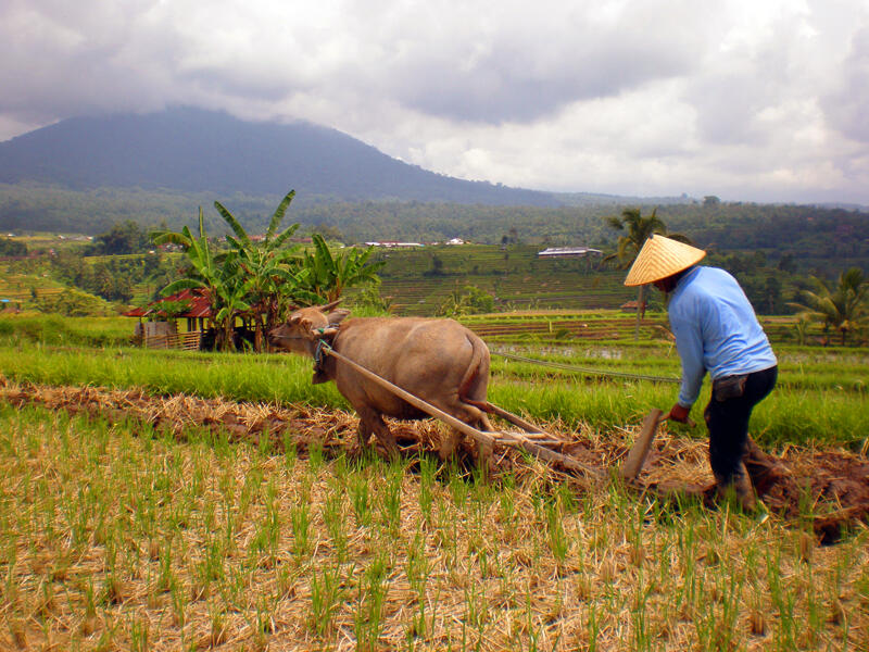 Waspada Penyakit ini Pada Musim Hujan