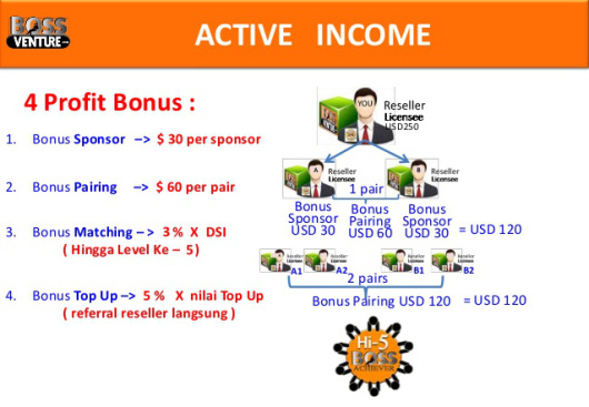 BossVenture | Bisnis Real &amp; Legal | Franchise Toko Online Internasional