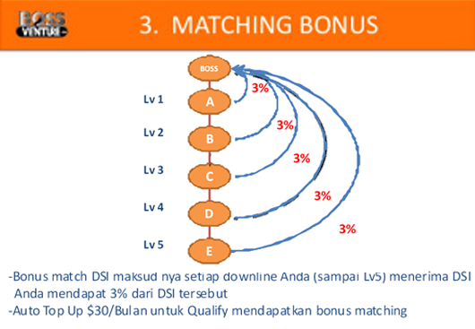 BossVenture | Bisnis Real &amp; Legal | Franchise Toko Online Internasional