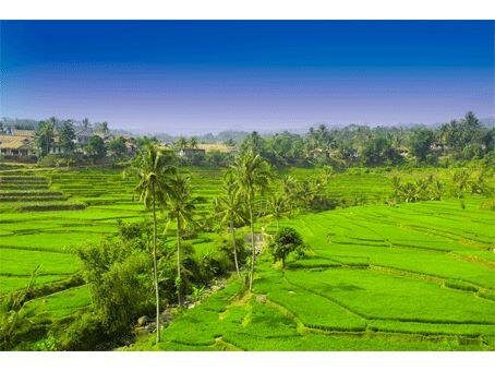 Liburan di Desa Cihuni - Purwakarta
