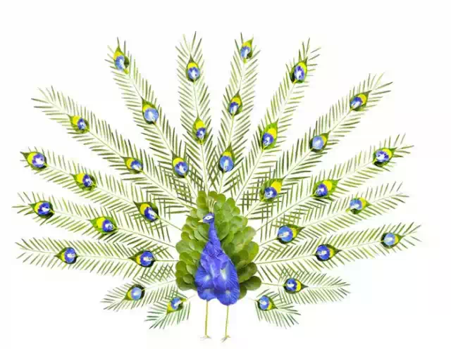 Seniman Ini Membuat Burung yang Eksotis dari Kelopak Bunga &#91;+PICT&#93;