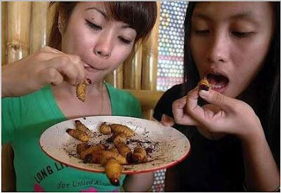 6 Peran Serangga di Alam