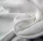 6 Peran Serangga di Alam