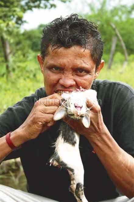 Kucing di makan mentah mentah &gt;Biadab&lt;