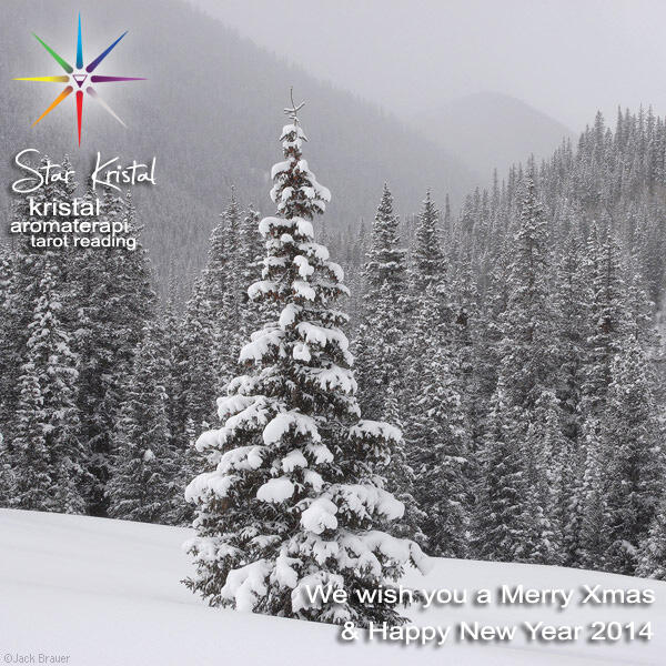 ~๑ஜ★۞★ஜ๑~ Selamat Hari Natal 2013 & Selamat Tahun Baru 2014 ~๑ஜ★۞★ஜ๑~
