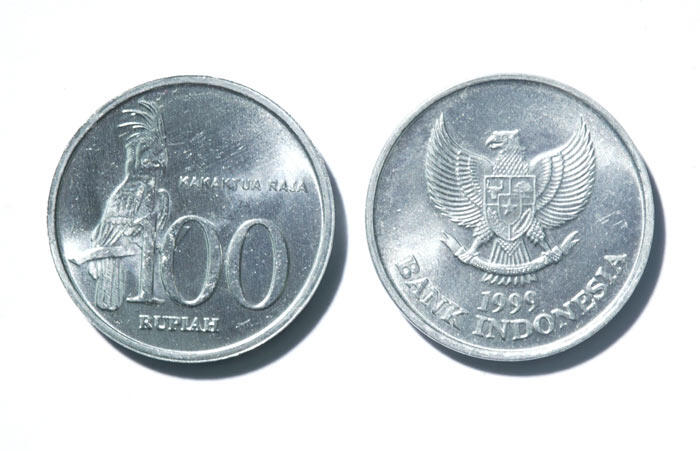 Hasil gambar untuk uang 100 logam