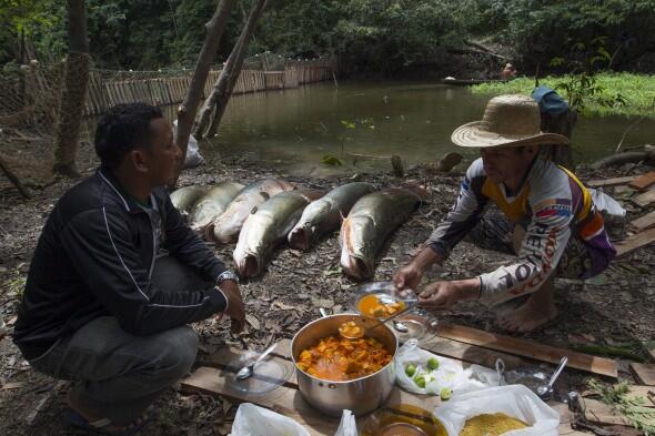 Blom Pernah Makan Arwana, Coba Ke Brazil (HT ga ya??)