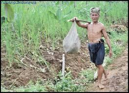 Masyarakat Baduy Yang Tertutup