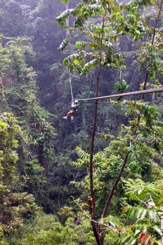 Flying Fox paling Menegangkan
