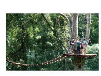 Flying Fox paling Menegangkan