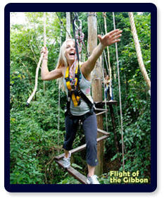 Flying Fox paling Menegangkan