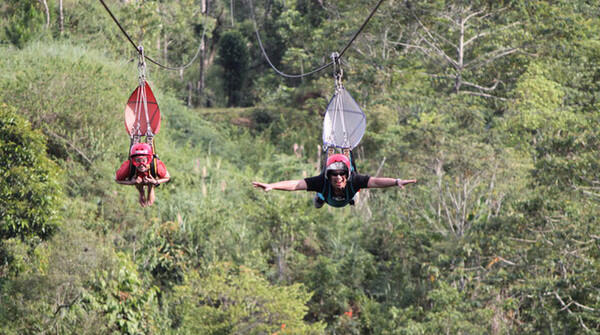 Flying Fox paling Menegangkan