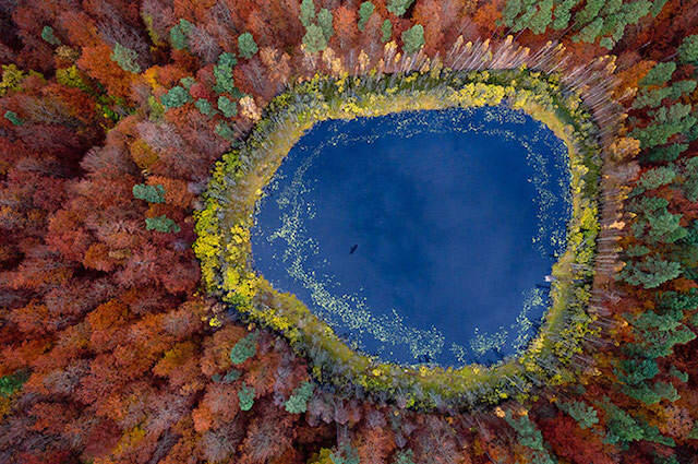 10 Foto Paling Menakjubkan Pilihan NatGeo