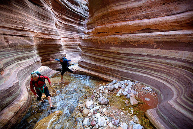 10 Foto Paling Menakjubkan Pilihan NatGeo