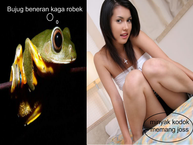 5 DARI BEBERAPA FAKTA MENARIK DI DUNIA