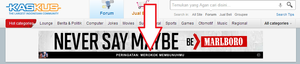 APA AGAN ADA MEMPERHATIKAN KEJUJURAN IKLAN di KASKUS INI? (ada gambar)