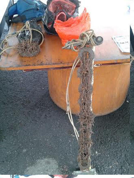 Motor Penyebar Paku jalan di bakar