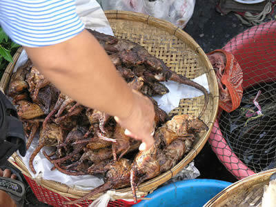 Makanan Terburuk ASIA-AFRIKA 