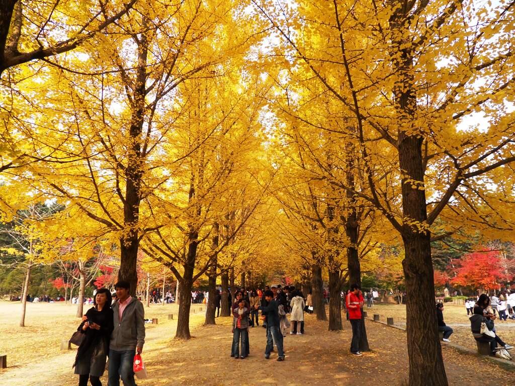 7 Lokasi Paling Romantis di KOREA