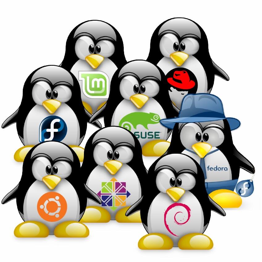 &#91;pengguna OS lain boleh MASUK&#93; Berani Pakai LINUX ??!!